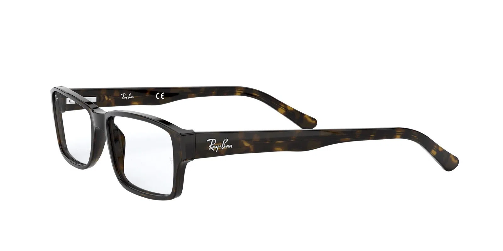 Ray-Ban 5169 Eyeglasses - view 74